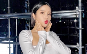 Sukses Beli Gedung Mahal, Solar MAMAMOO Kurangi Penggunaan Kartu Kredit untuk Kelola Keuangan