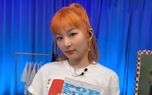 Ternyata Hal Ini yang Bikin Seulgi Red Velvet Pilih Jadi Trainee SM Entertainment