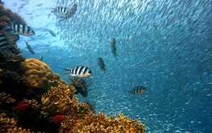 Tiongkok Desak Jepang Cabut Keputusan Buang Limbah Nuklir Lewat Terowongan Bawah Laut