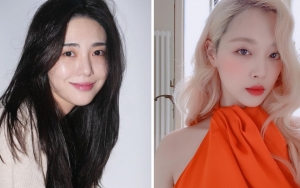 Mina eks AOA Kerap Berbagi Kesulitan dengan Mendiang Sulli, Sesali Hal ini