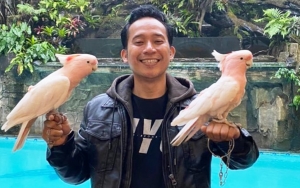 Denny Cagur Pernah Punya Badan Berotot 5 Tahun Lalu, Bukti Ini Bantah Fotonya Editan
