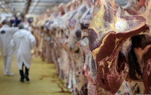 Brasil Setop Ekspor Daging ke Tiongkok Usai Deteksi Kasus Penyakit Sapi Gila