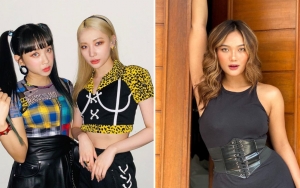 Lagunya Dicover Dita Karang dan Jinny Secret Number, Reaksi 'Terhalang' Marion Jola Mengocok Perut