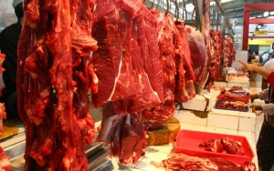 Heboh Daging Anjing Dijual di Pasar Senen dan Diisukan Jadi Obat Corona, Wagub DKI Ancam Beri Sanksi