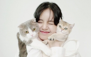 Seperti Anak Sendiri, Ini yang Bikin Lisa BLACKPINK Bucin Banget Sama Kucing
