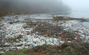 Banyak Sampah Plastik Merek Terkenal Cemari Sungai Brantas Dan Pesisir Timur Surabaya