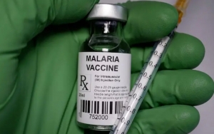 WHO Izinkan Satu-Satunya Vaksin Malaria Diedarkan di Afrika, Efektivitas Ternyata Cuma 30 Persen