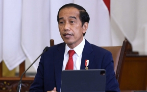 Profesor Singapura Puji Jokowi Jenius dan 'Negara Lain Harusnya Iri', Begini Tanggapan Istana
