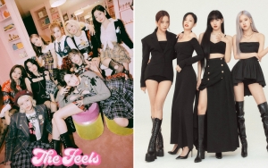 Fokus Grup atau Individu, Arah Aktivitas TWICE dan BLACKPINK Picu Perdebatan