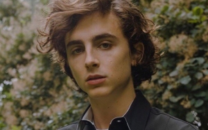 Timothee Chalamet Komentari Kasus Pemerkosaan Dan Pelecehan Seksual Aktor Armie Hammer