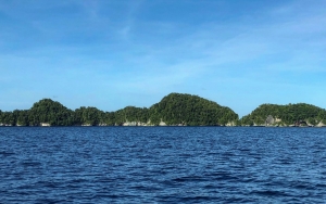 Negara di Kepulauan Pasifik Jadi Yang Pertama di Dunia Capai Tingkat Vaksinasi 99 Persen