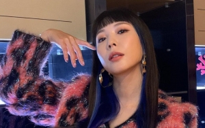 BoA Dibombardir Komentar Jahat Usai Penjurian di 'Street Woman Fighter' Dianggap Memihak