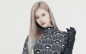 Sana TWICE Jadi Korban Salah Terjemahan, Bikin Ngakak Jawab Makanan Favorit Dikira Soal Hewan