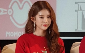 Daisy Eks Momoland Bongkar Perbedaan Perlakuan Gender Idola di Balik Kelamnya Industri K-Pop