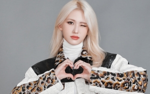 Pernyataan Jeon Somi Ini Bikin Fans BLACKPINK dan TWICE Kecewa