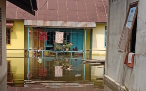 3 Pekan Banjir Di Kalimantan Barat Tak Kunjung Surut, Tinggi Masih Lebih Dari 2 Meter
