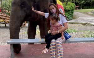 Blak-Blakan, Aura Kasih Ajak Sang Putri Kecil Cari Papa Baru Ramai Dapat Dukungan