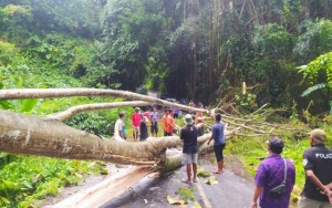 Persitiwa Nahas Longsor Timbun Rombongan Wisatawan di Gianyar, 2 Orang Dinyatakan Tewas