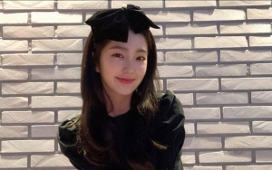 Sikap Tenang Irene Red Velvet Berkemah Sendiri Bikin Adem Langsung Banjir Pujian
