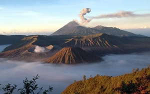 Korban Meninggal Erupsi Gunung Semeru Terus Bertambah, Kini Jadi 39 Jiwa