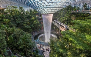 2 Ekor Singa Lepas di Bandara Changi Bikin Geger, Publik Khawatir Positif COVID-19