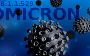 Kemenkes Ungkap 11 Kasus Probable Omicron di Indonesia