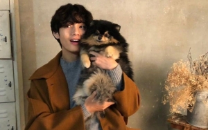 Pesan Manis dan Mengharukan V BTS untuk Anjingnya, Yeontan Bikin Mata Berkaca-Kaca