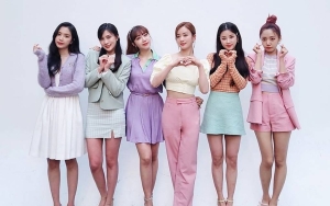A Pink Dibela Habis-Habisan Diragukan Sukses Comeback usai Singgung Usia Para Member
