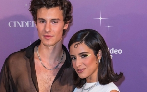 Shawn Mendes Akui Alami Masa Sulit Karena Sosmed Sehari Pasca Camila Cabello Umumkan Hiatus Main IG