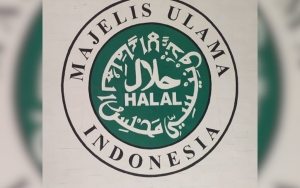 Kata MUI soal Heboh Fenomena Boneka Arwah
