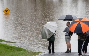 Seram! Seekor Hiu Banteng Berenang di Genangan Air Banjir di Queensland Australia