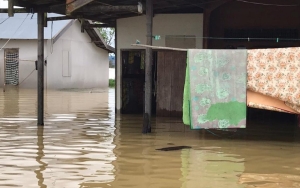 1.379 Jiwa Terdampak Banjir yang Rendam 3 Kecamatan di Kalimantan Selatan