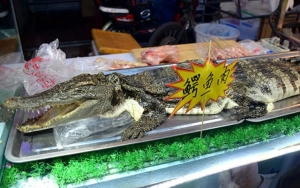 Harga Daging Babi Melonjak, Warga Thailand Beralih Konsumsi Buaya