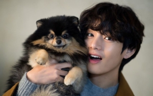 Belai Hingga Ciumi Yeontan, Gaya Rumahan V BTS Pacarable Banget