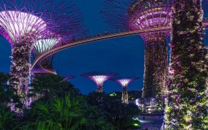 Singapura Jadi Tempat Paling Instagrammable di Dunia, Area Ini banyak Difoto