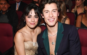 Camila Cabello Keciduk Beri Komentar Menggoda Di Postingan Terbaru Shawn Mendes, Kode Balikan?