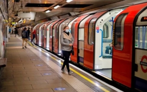 Belasan Kereta di London Terpaksa Delay Gara-Gara Seekor Angsa 'Keras   Kepala'