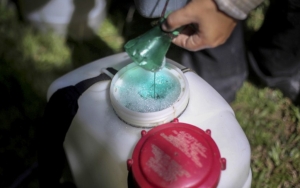 Kecewa Putranya yang Berusia 29 Tahun Tak Kunjung Menikah, Pria di Tiongkok Nekat Minum Pestisida