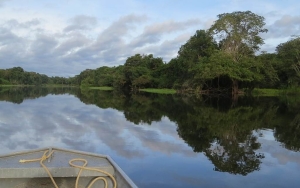 Tumpahan Minyak Ekuador Meluas Cemari Kawasan Hutan Lindung Amazon