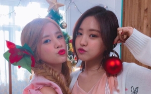 YouTuber Ini Beberkan Na Eun Tak Gabung Promosi Comeback A Pink Gara-gara Kontroversi Chorong