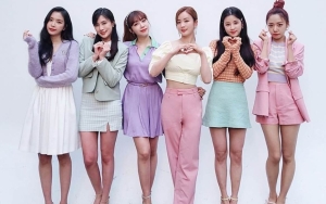 A Pink Tak Setuju Ada Idola Mulai Cinlok Saat di Lokasi 'ISAC', Ini Alasannya