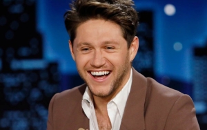 Niall Horan Kabarkan Sakit Parah Selama Perjalanan Udara Sampai Harus Dirawat Kru Maskapai