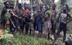 Lagi, Aksi Penyerangan hingga Penembakan Anggota TNI-Polri oleh KKB Terjadi di Distrik Ilaga