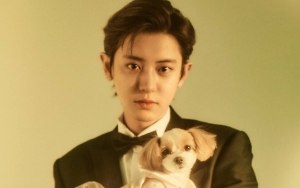Chanyeol EXO Terungkap Cucu Letnan Veteran, 8 Seleb Ini Berasal Dari Keluarga Militer