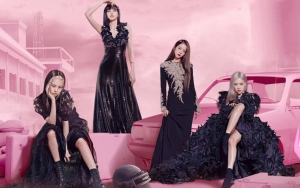 Beredar Prediksi Jadwal Comeback BLACKPINK, Ternyata Masih Harus Menunggu Lama