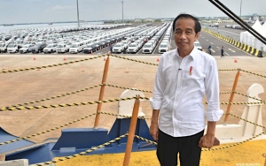Dilantik Jokowi Pekan Ini, Apa Sebenarnya Arti dan Tugas Kepala Otorita IKN?