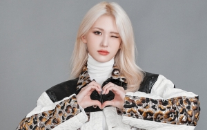 Jeon Somi Berpotensi Dapat Masalah Kecil dari YG Entertainment Gara-gara Ini