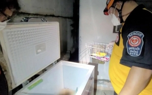 Mayat Bayi Dalam Freezer Ditemukan di Chiang Mai, Ayah Diduga Belum Bisa Terima Kematian Anaknya