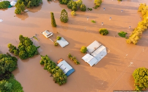 Karya-karya Seni Berharga Jutaan Dolar Ikut 'Musnah' dalam Bencana Banjir di Australia