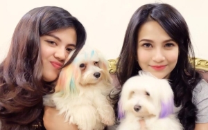 Sepupu Vanessa Angel Ngamuk Foto Suami Disebar, Bantah Fitnah Bisnis Kebab Dimodali Saudara